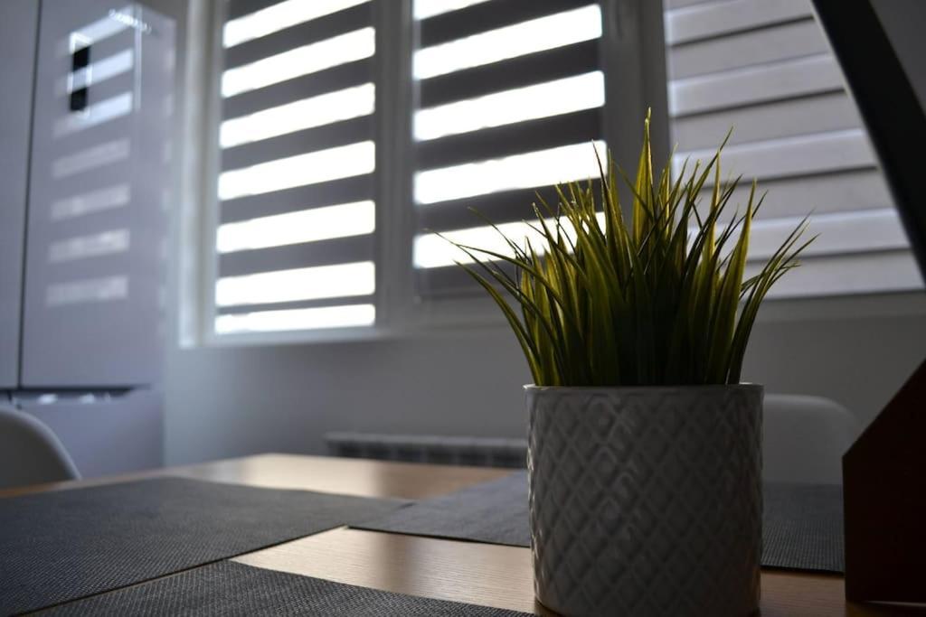 Modern City Center 2 Bedroom Apartment Sofia Exterior photo