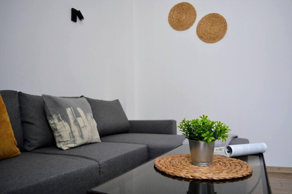 Modern City Center 2 Bedroom Apartment Sofia Exterior photo